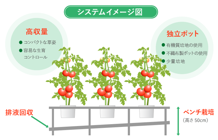 システムイメージ図